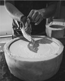 artisan-concrete-basin-making-nsw